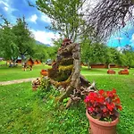 Rafting Camp Tara 87 Κάμπινγκ