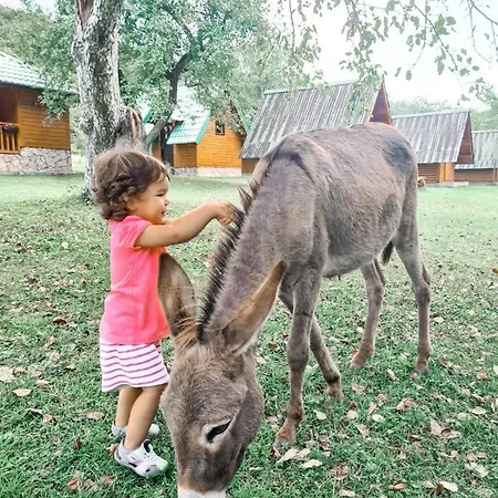 Rafting Camp Tara 87 キャンプ場 *