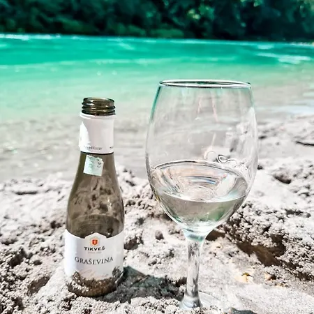 Rafting Camp Tara 87 キャンプ場 Hum