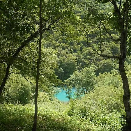 Kamp alanı Rafting Camp Tara 87
