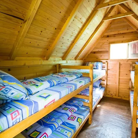 Rafting Camp Tara 87 キャンプ場