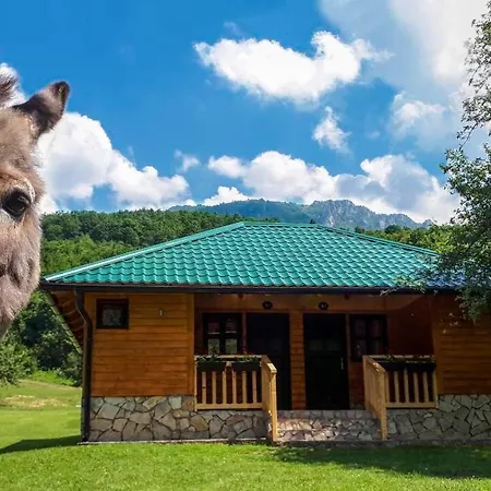 Rafting Camp Tara 87 Campsite