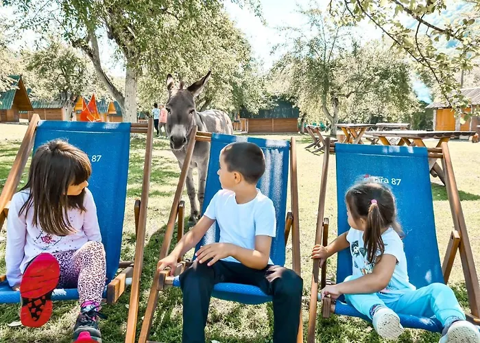 Rafting Camp Tara 87 Kamp *