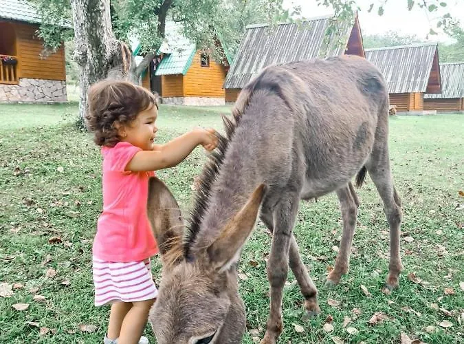 Rafting Camp Tara 87 Campsite *