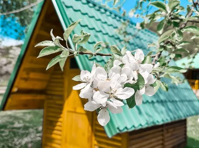 Kamp Rafting Camp Tara 87 *