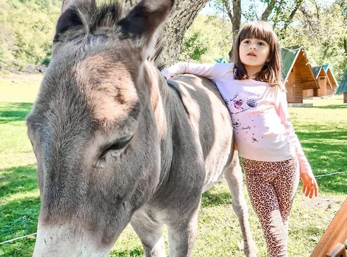 Rafting Camp Tara 87 Campsite