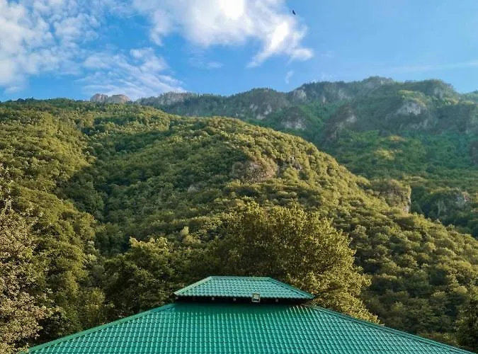 Rafting Camp Tara 87 Kamp