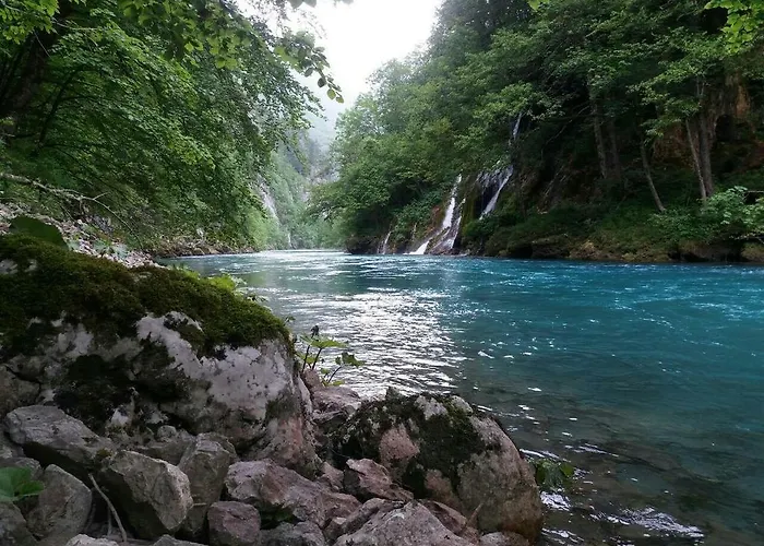 Kamp Rafting Camp Tara 87 Hum