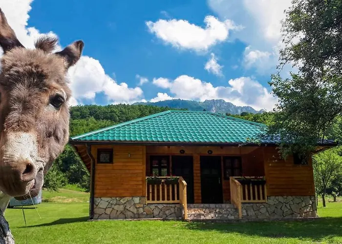 Rafting Camp Tara 87 Campsite